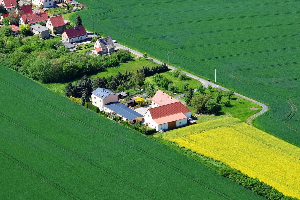 Niederau Gastehaus Schirner酒店 外观 照片